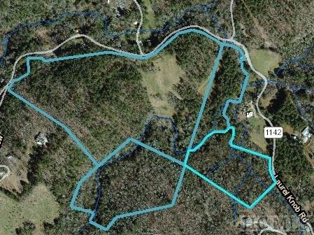 Tbd Laurel Knob Road Cashiers, NC 28717 - Photo 37 of 37 Gallery Image 37