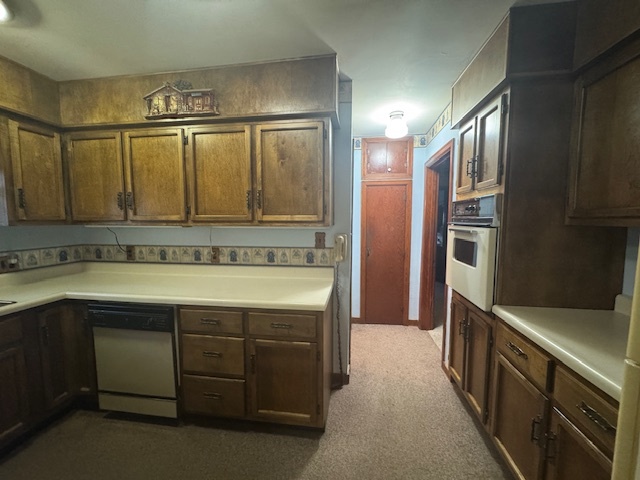 307 North Linden Street Clinton, IL 61727 - Photo 21 of 50 a view of a double sink and a refrigerator in a kitchen