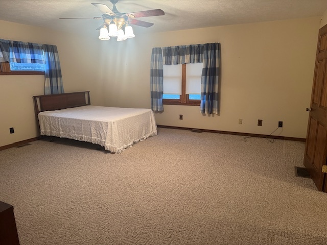 307 North Linden Street Clinton, IL 61727 - Photo 31 of 50 a bedroom with a bed and a chandelier