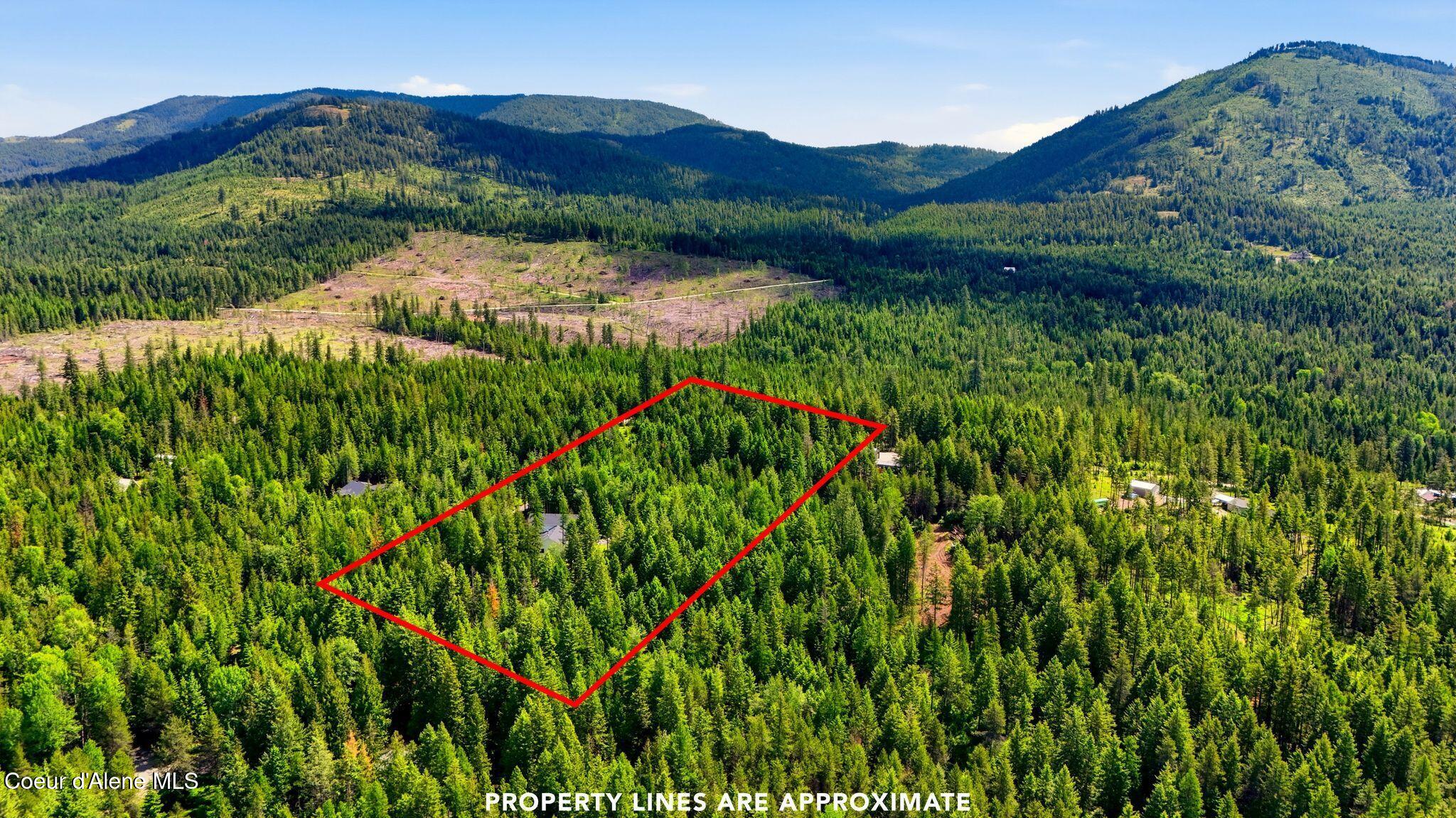 95 Klickitat Road Cocolalla, ID 83813 - Photo 63 of 66 Aerial