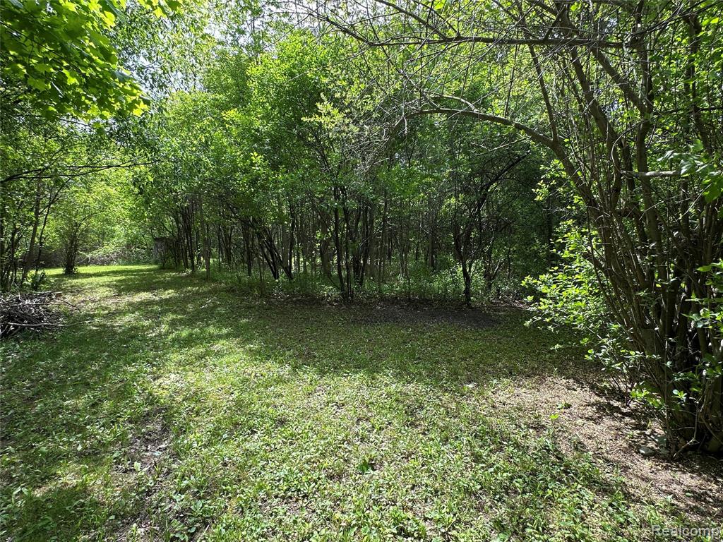 6161 East River Road Flushing, MI 48433 - Photo 54 of 63