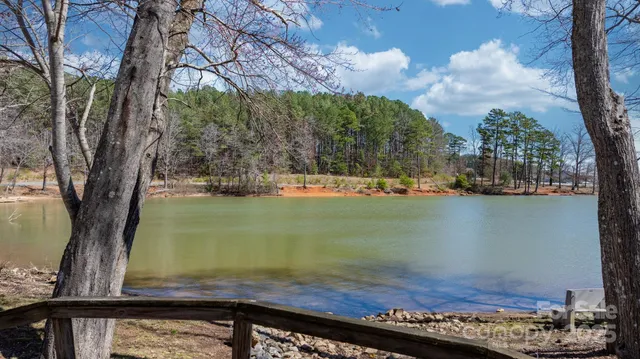 a view of a lake with a trees