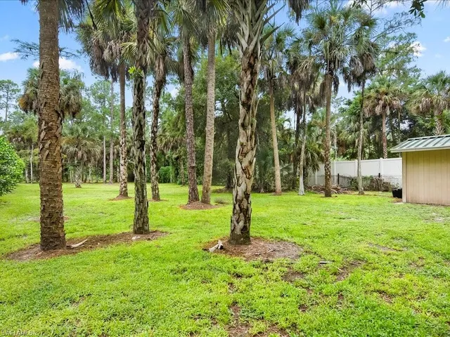 a view of a backyard with large trees