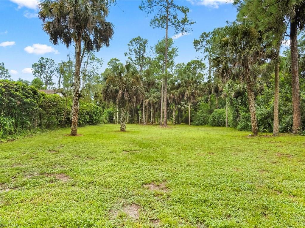 4220 11th Avenue Southwest Naples, FL 34116 - Photo 24 of 25 a view of a park with a tree