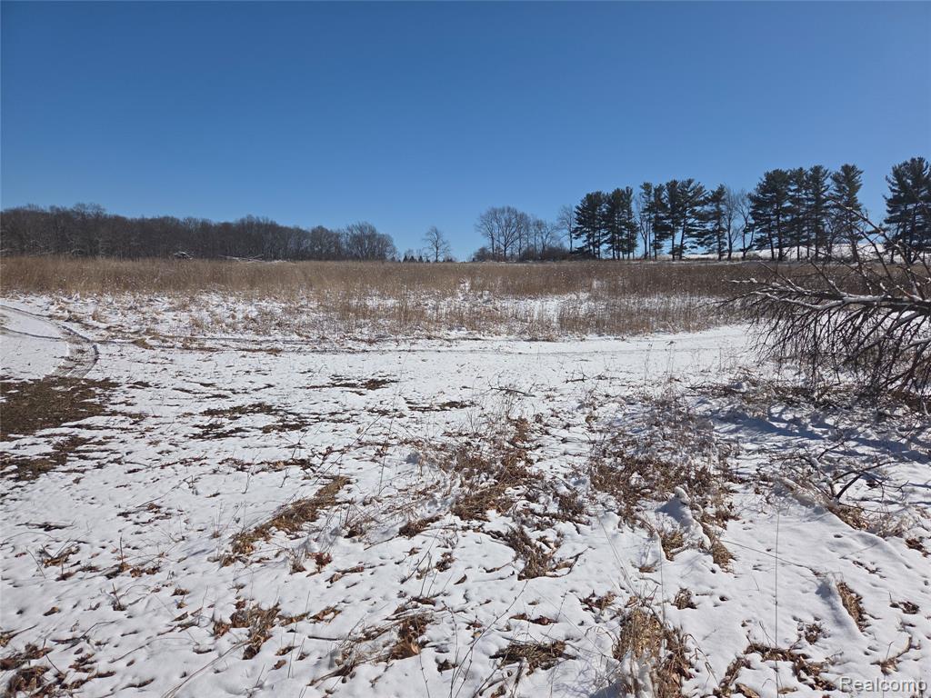 Parcel 3 Mack Road Howell, MI 48855 - Photo 2 of 2