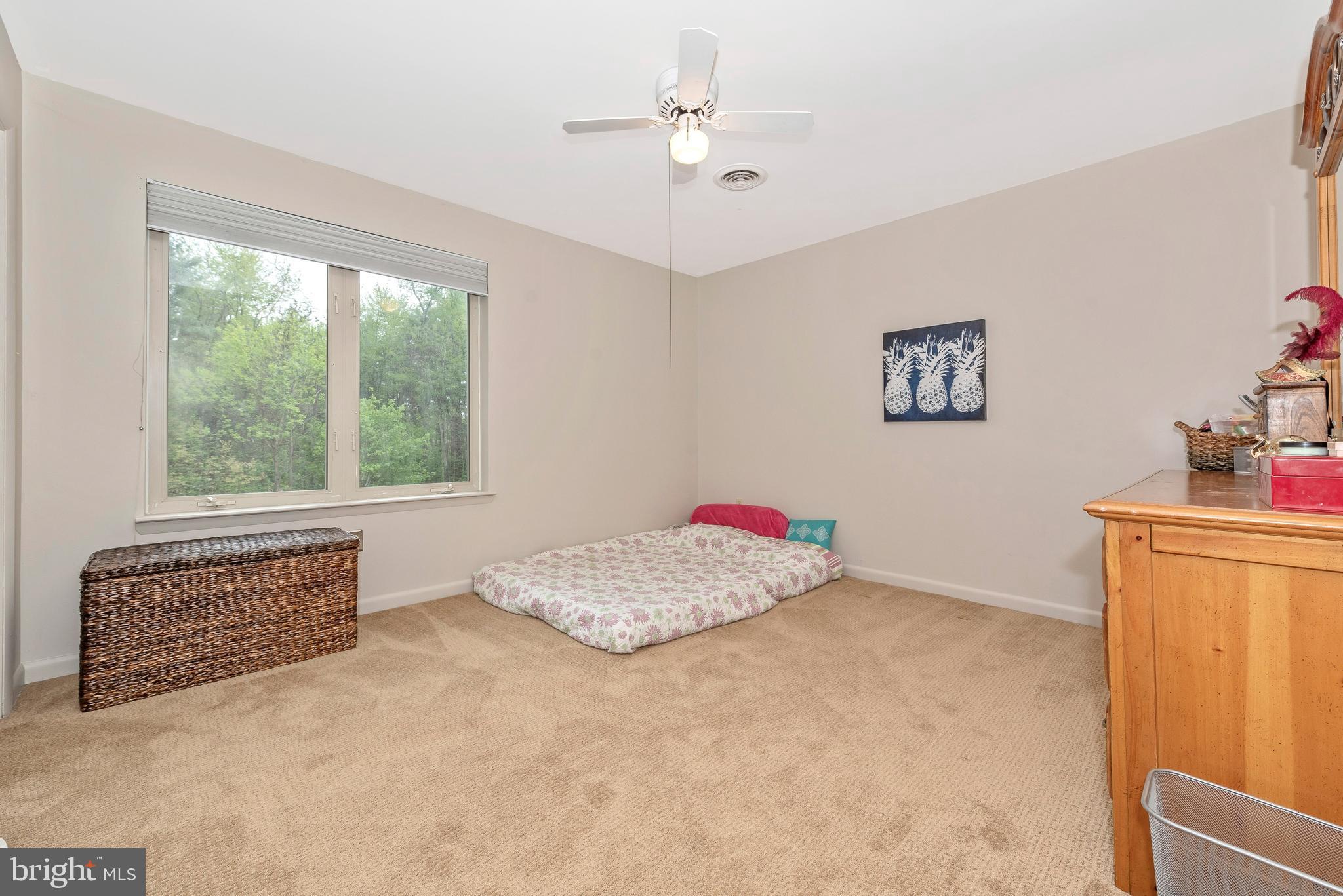 12828 Jesse Smith Road Mount Airy, MD 21771 - Photo 22 of 46 2nd bedroom