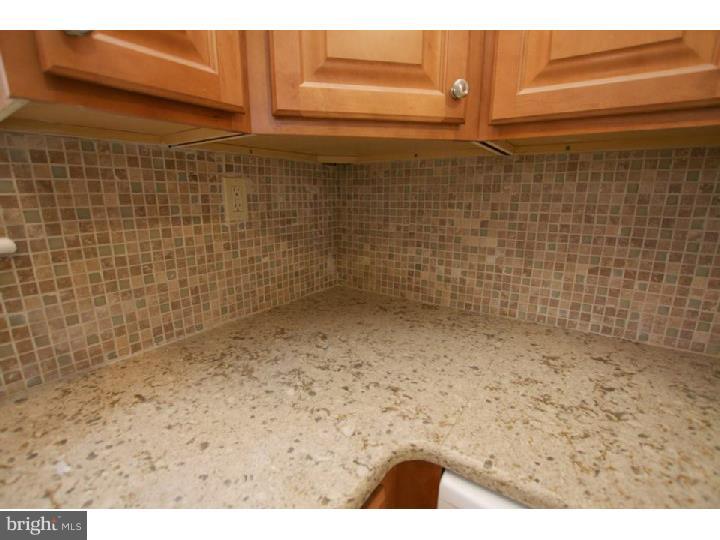 39 South Britton Road Springfield, PA 19064 - Photo 12 of 24 Kitchen