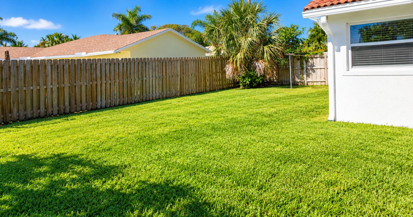 266 Southwest 12th Street Boca Raton, FL 33432 - Photo 25 of 30 Sunlit Tropical Backyard Lawn