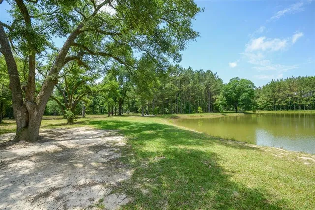 $108,500 | 50319-lot 1) Allen Drive, Loranger, LA 70446