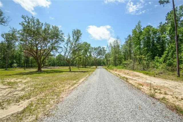 $108,500 | 50319-lot 1) Allen Drive, Loranger, LA 70446