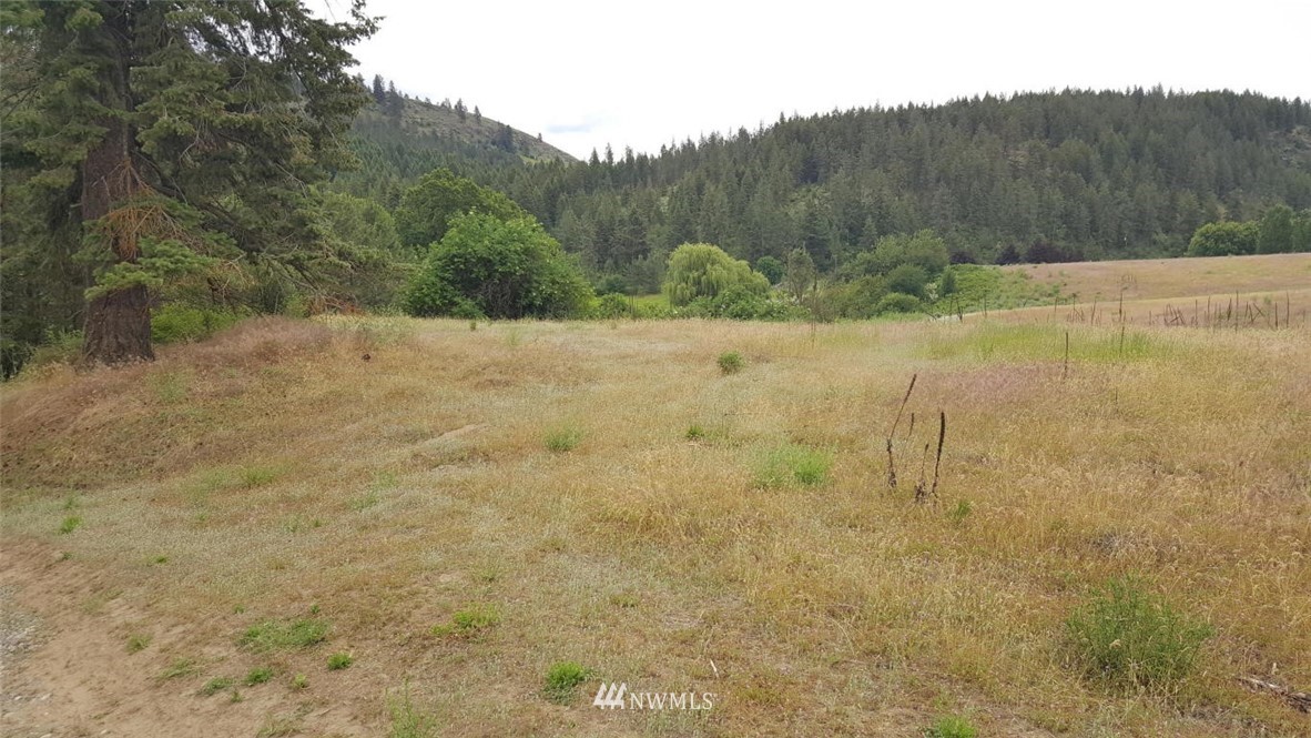 2100 River Rock Road Kettle Falls, WA 99141 - Photo 2 of 11