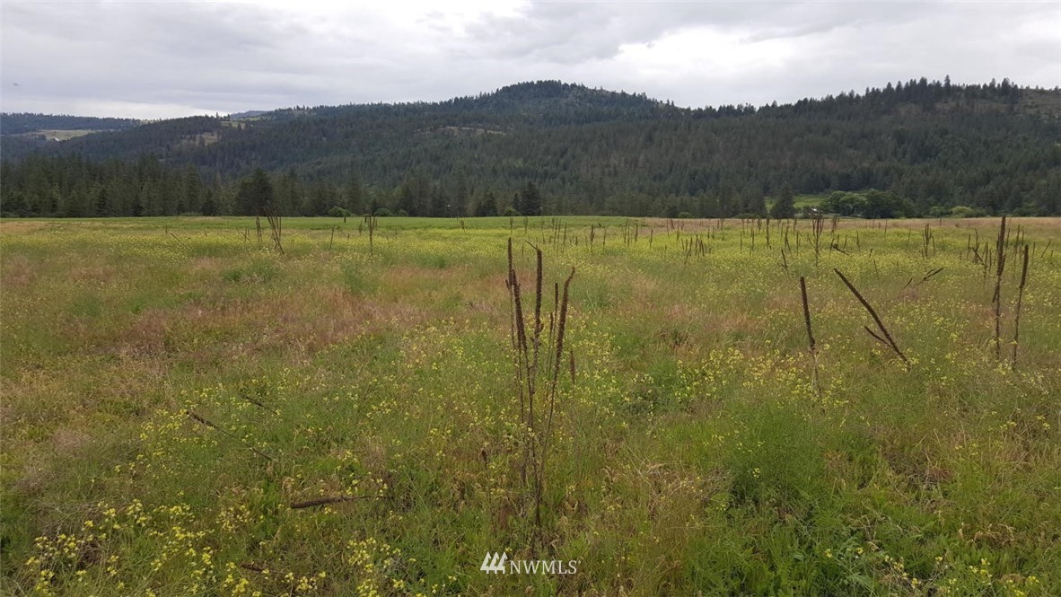 2100 River Rock Road Kettle Falls, WA 99141 - Photo 11 of 11