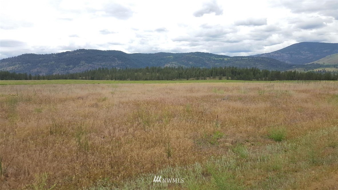 2100 River Rock Road Kettle Falls, WA 99141 - Photo 4 of 11