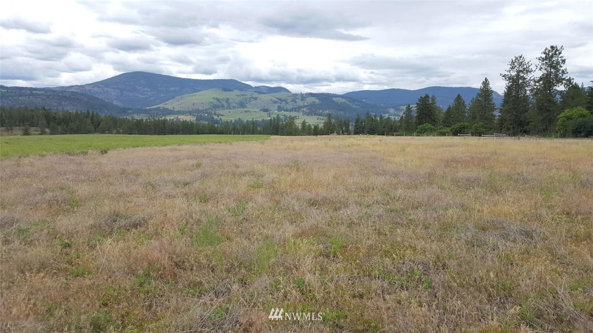 2100 River Rock Road Kettle Falls, WA 99141 - Photo 5 of 11