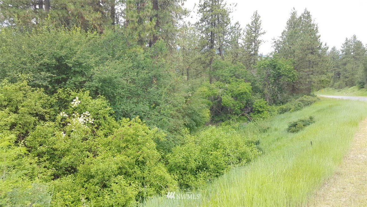 2100 River Rock Road Kettle Falls, WA 99141 - Photo 6 of 11
