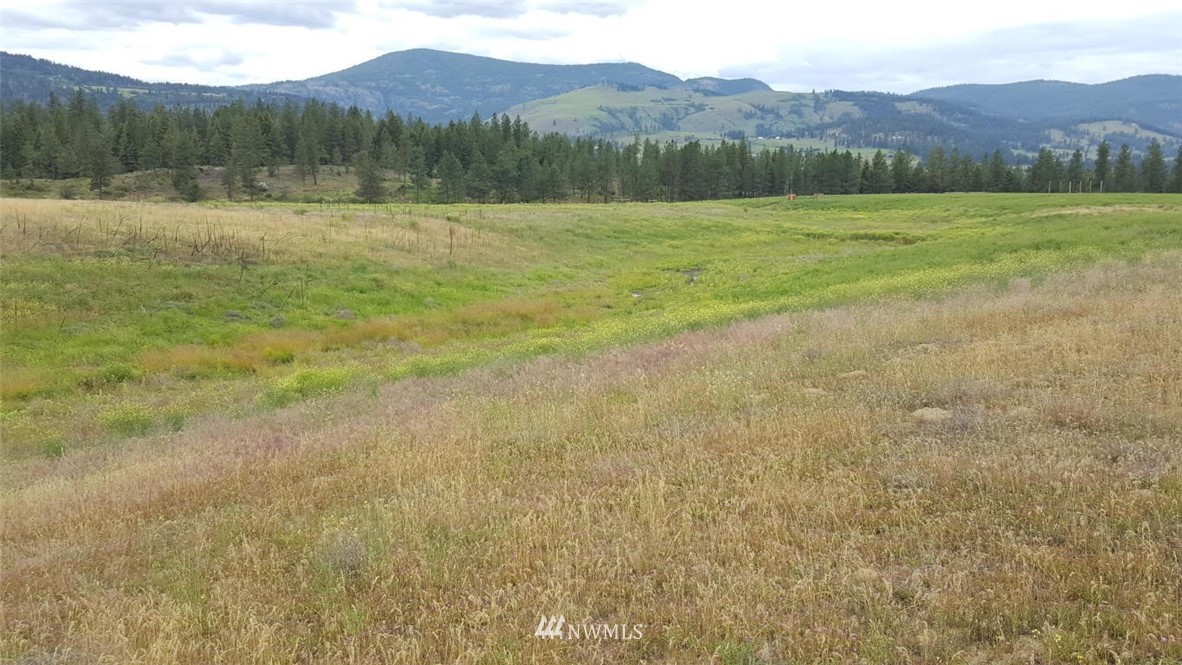 2100 River Rock Road Kettle Falls, WA 99141 - Photo 9 of 11