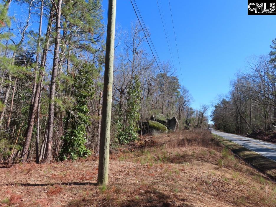 0 Rion Road Winnsboro, SC 29180 - Photo 33 of 42