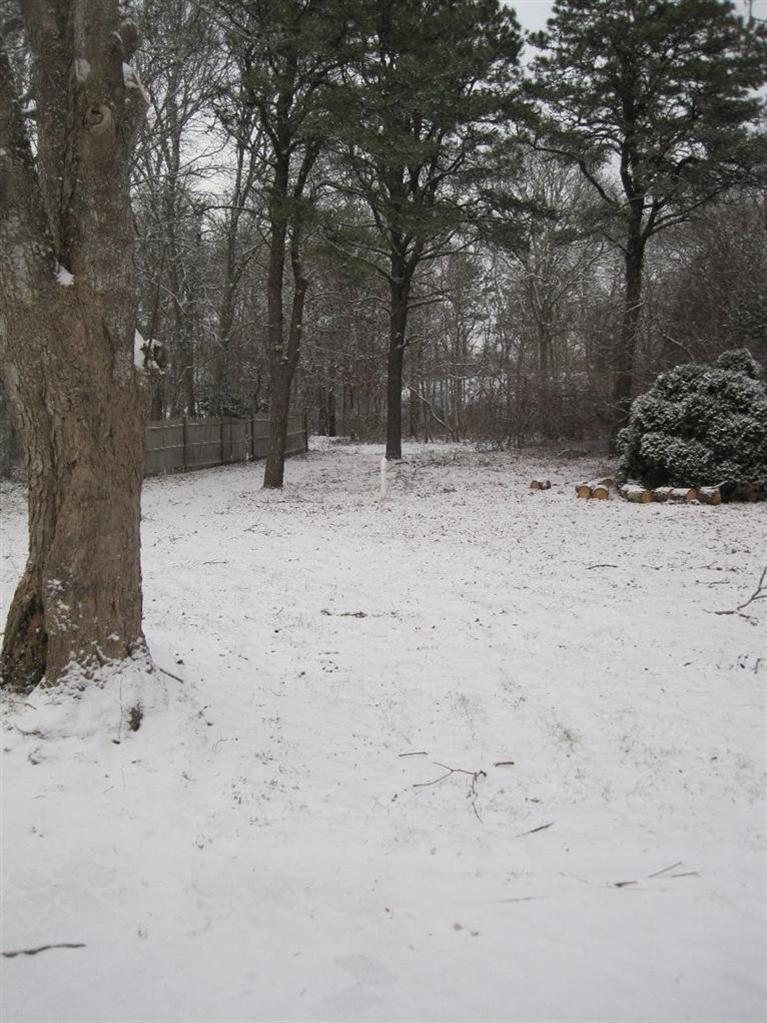 126 Old Town Road Hyannis, MA 02601 - Photo 13 of 13 a view of outdoor space with trees