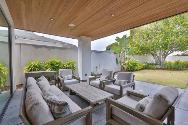 a view of a garden with plants and trees