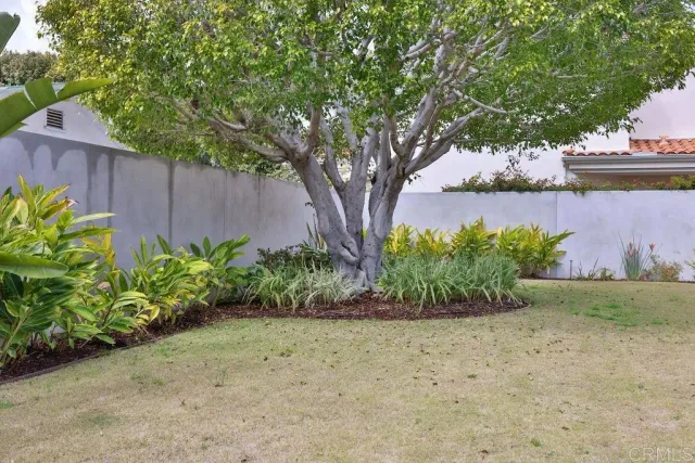 a view of a house with a yard and potted plants