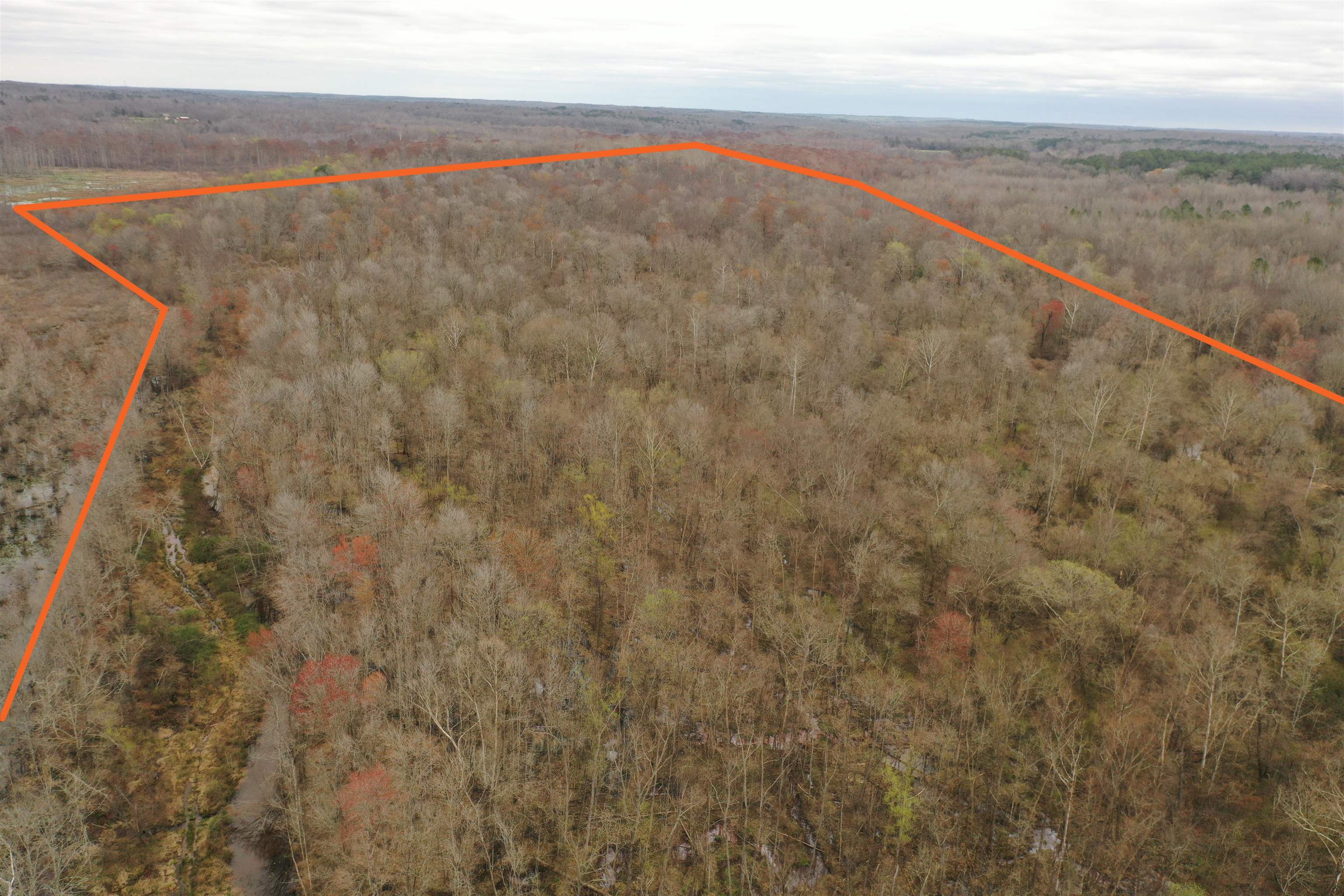 0 Teague Road Medon, TN 38356 - Photo 11 of 21 a view of beach and ocean