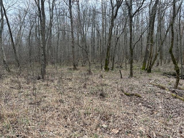 0 Teague Road Medon, TN 38356 - Photo 12 of 21 a view of a yard with large trees
