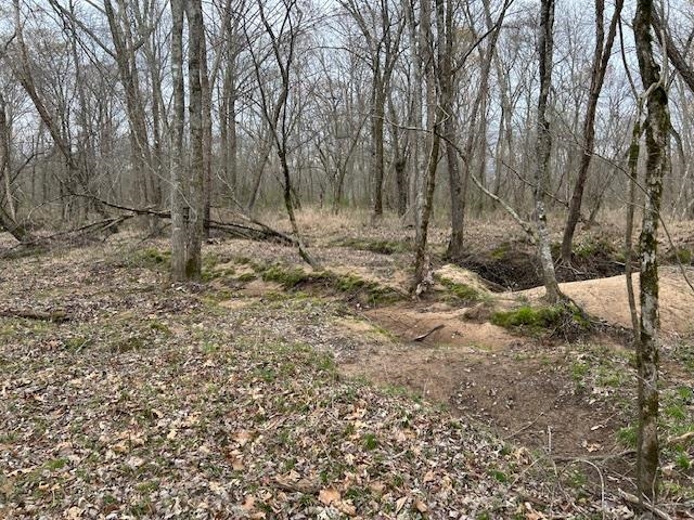 0 Teague Road Medon, TN 38356 - Photo 13 of 21 a backyard of a house with lots of green space