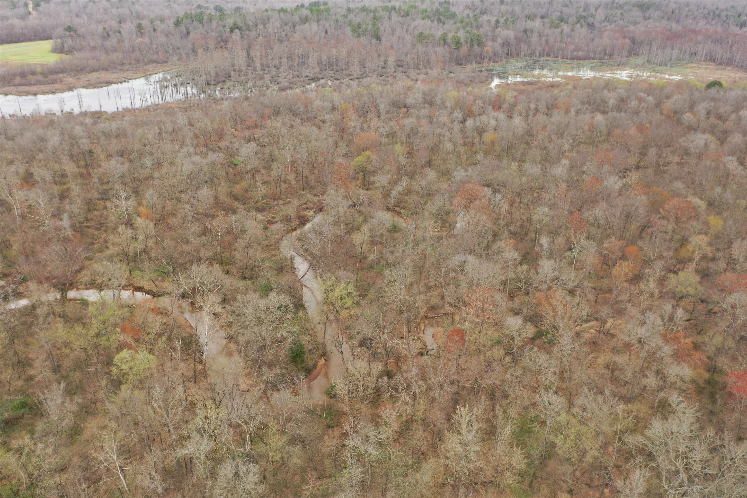 0 Teague Road Medon, TN 38356 - Photo 14 of 21 a close view of cupboard