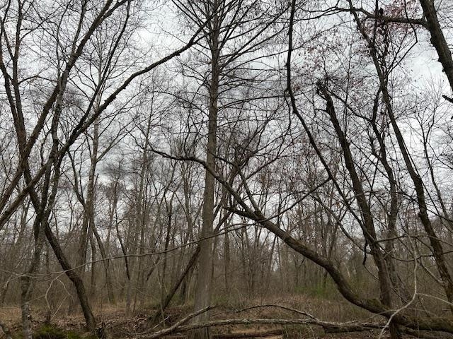 0 Teague Road Medon, TN 38356 - Photo 15 of 21 a backyard of a house with lots of green space