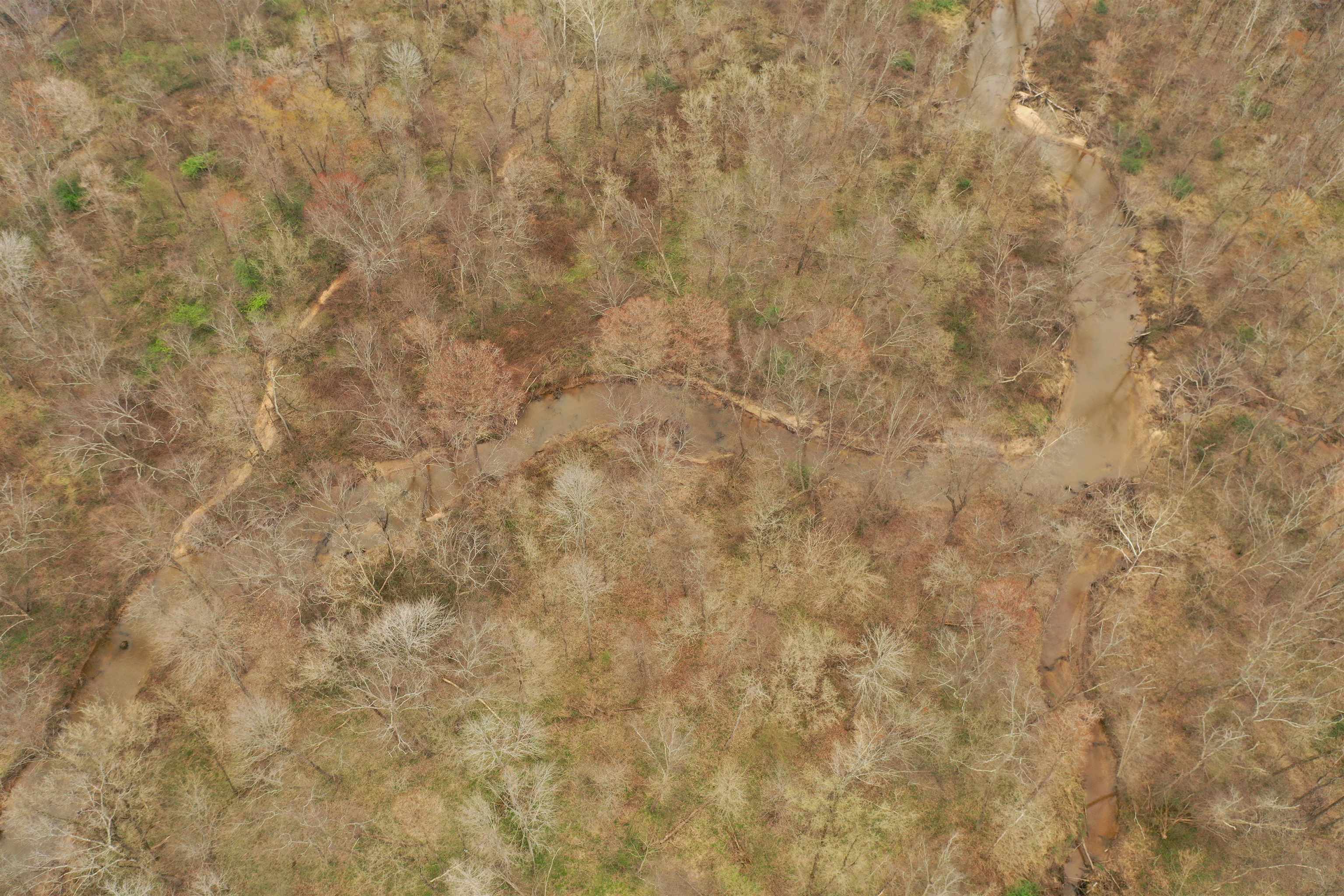 0 Teague Road Medon, TN 38356 - Photo 16 of 21 a close up of a white wall