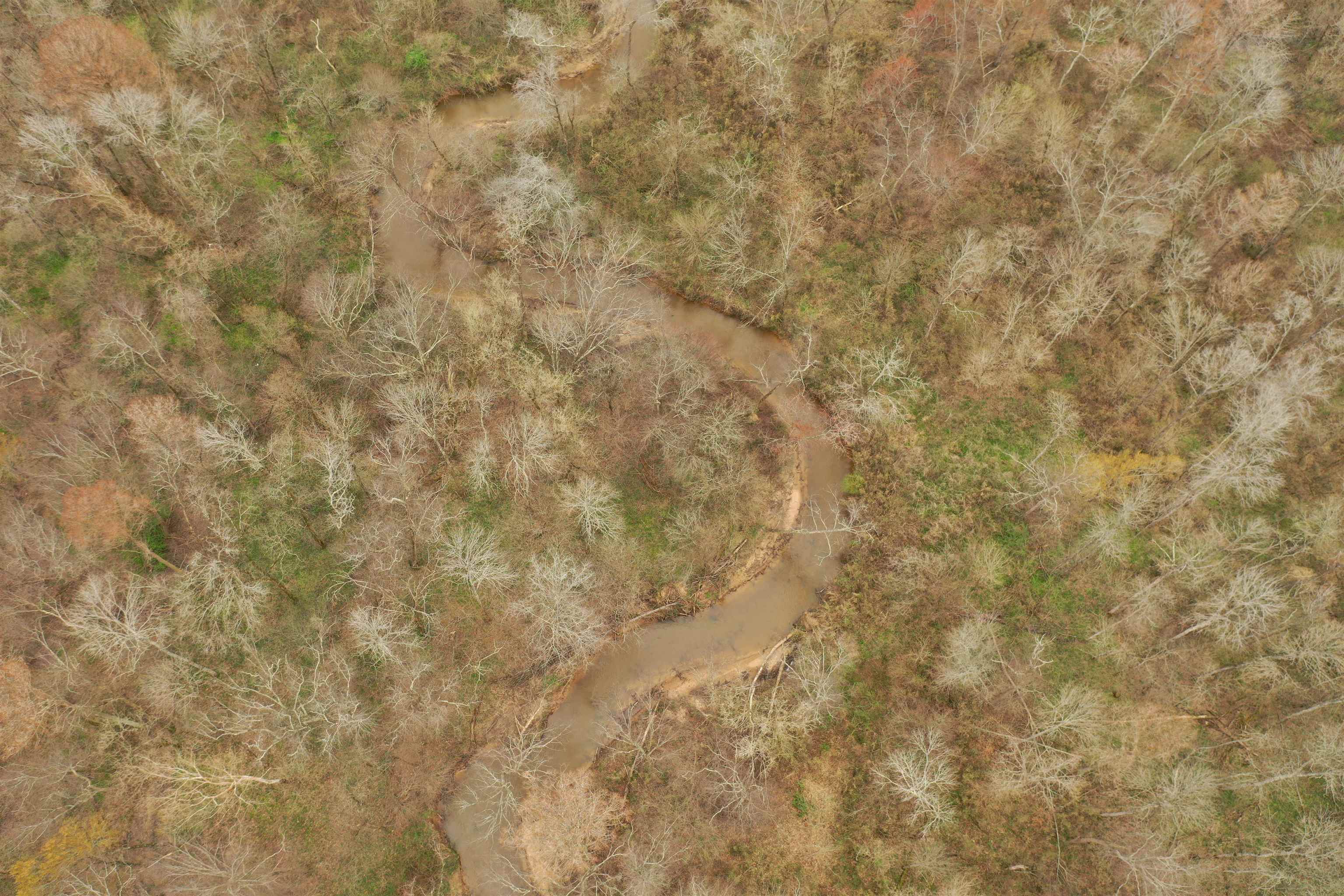 0 Teague Road Medon, TN 38356 - Photo 17 of 21 a close view of a yard