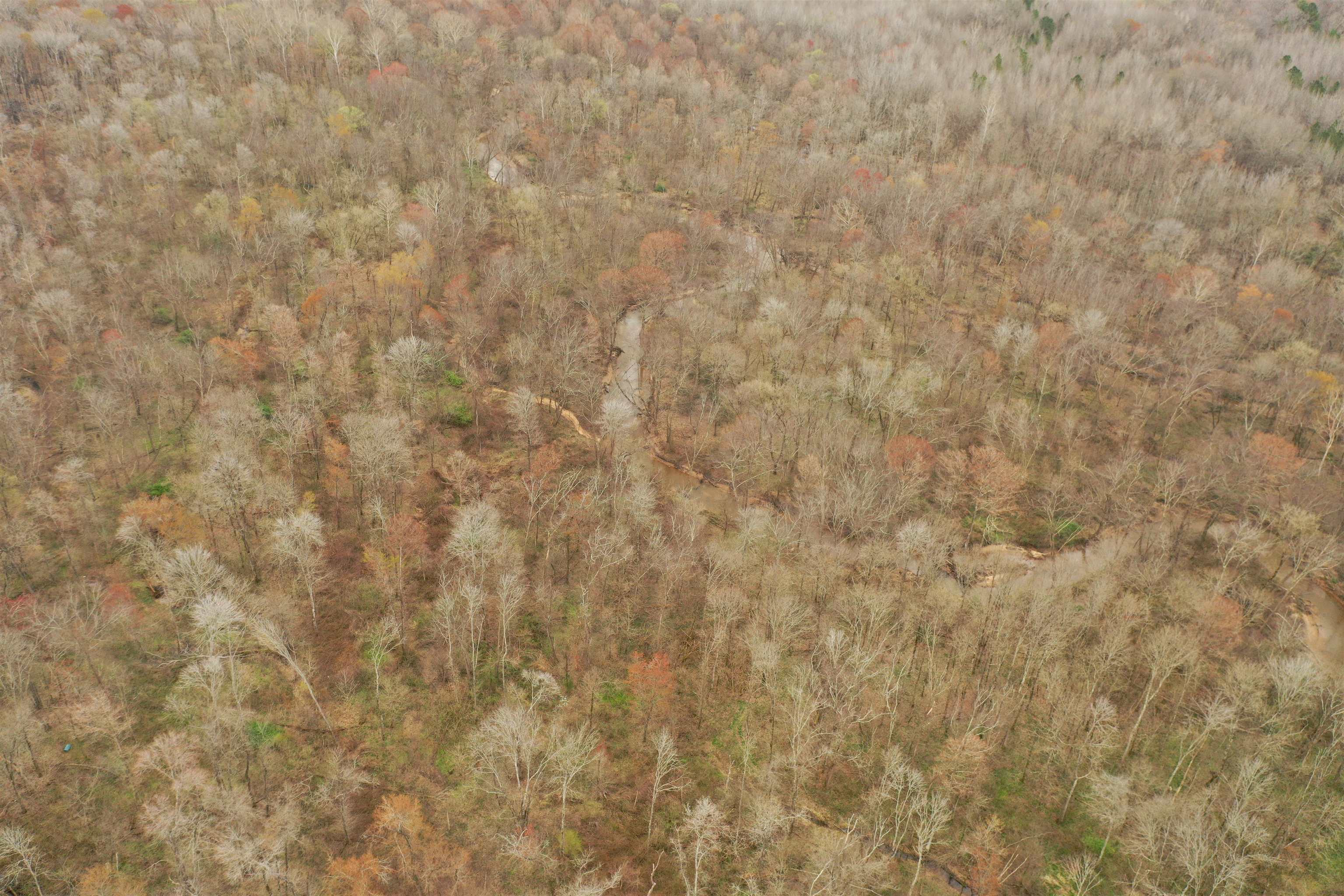 0 Teague Road Medon, TN 38356 - Photo 18 of 21 a close view of a shower