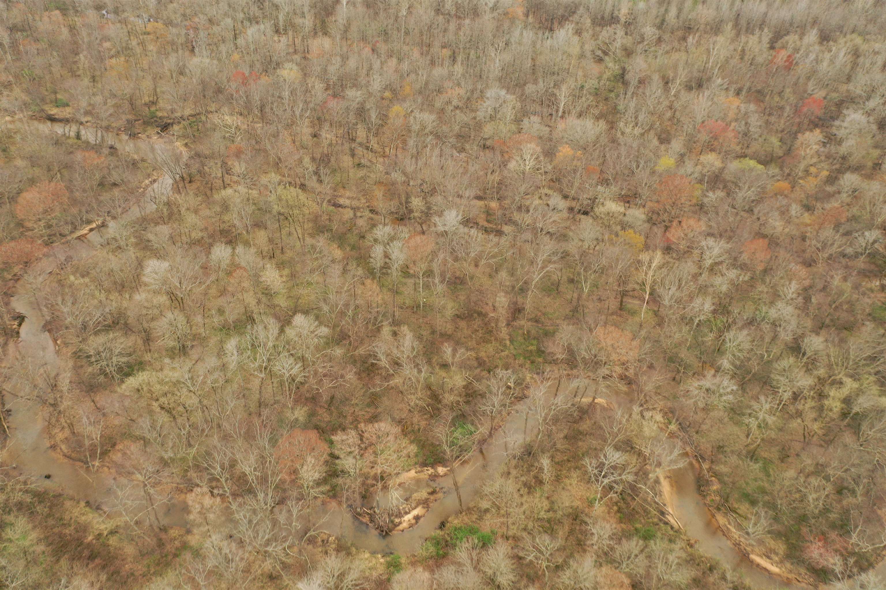 0 Teague Road Medon, TN 38356 - Photo 19 of 21 a close up of a white wall