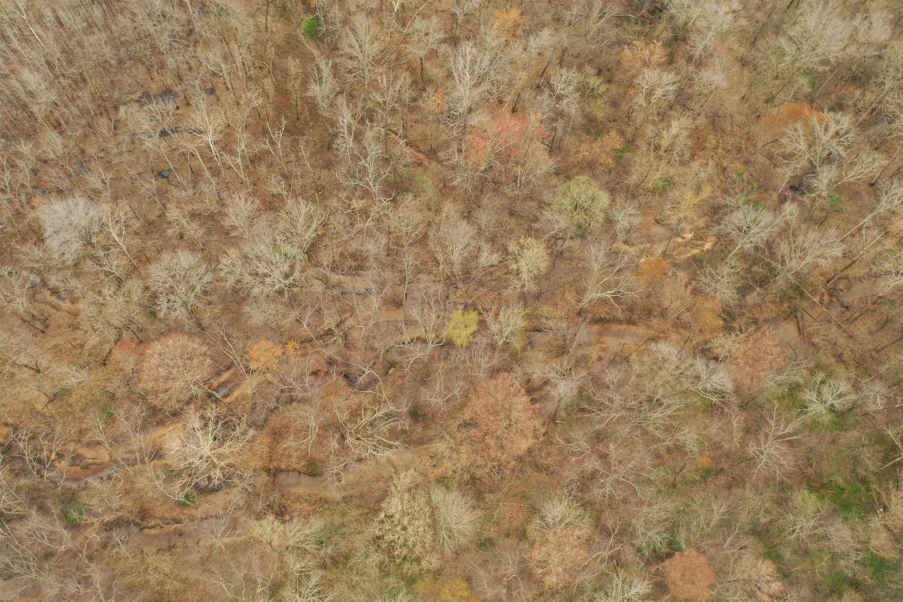 0 Teague Road Medon, TN 38356 - Photo 20 of 21 a close up of a white wall