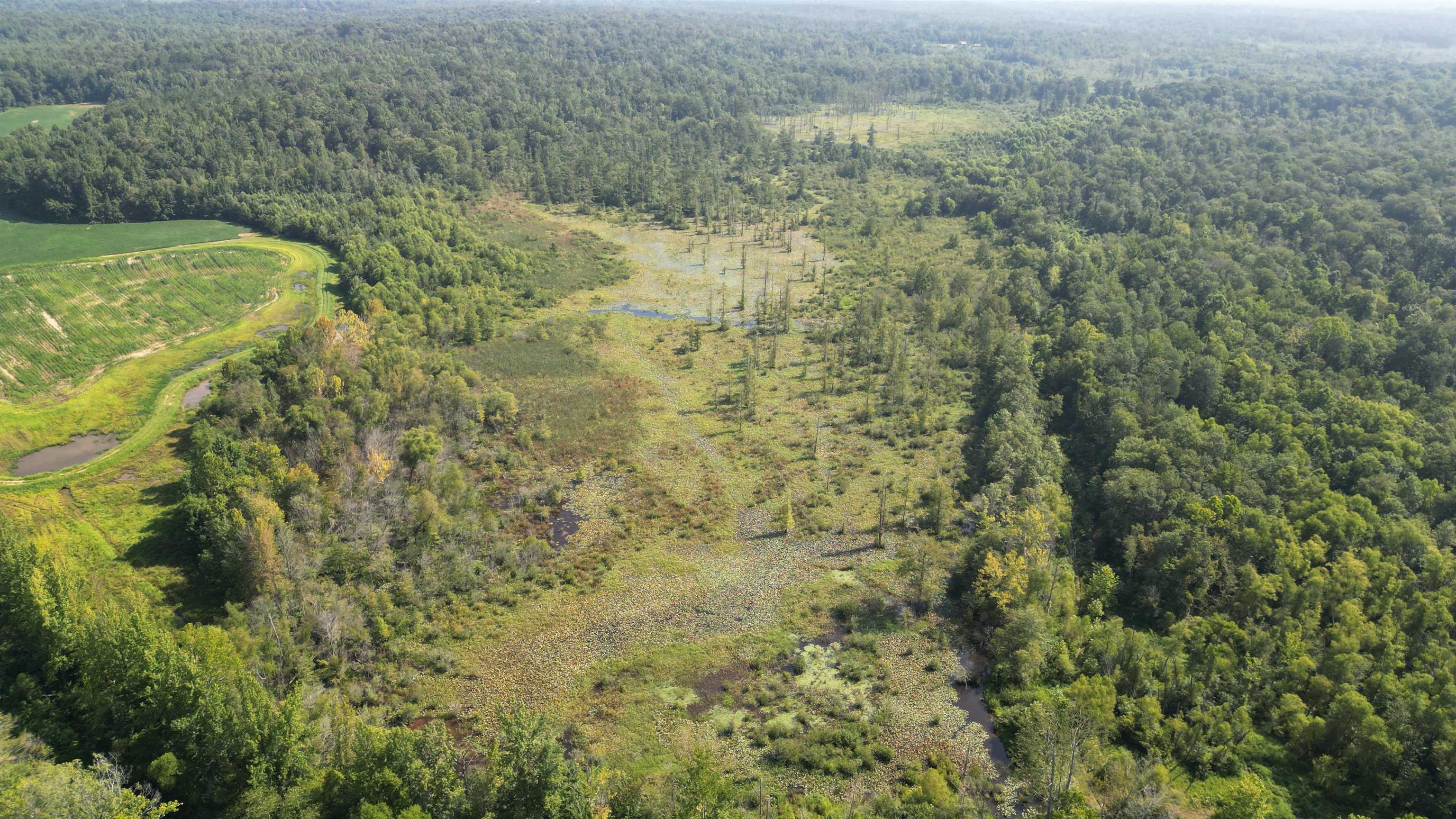 0 Teague Road Medon, TN 38356 - Photo 2 of 21 a view of a yard