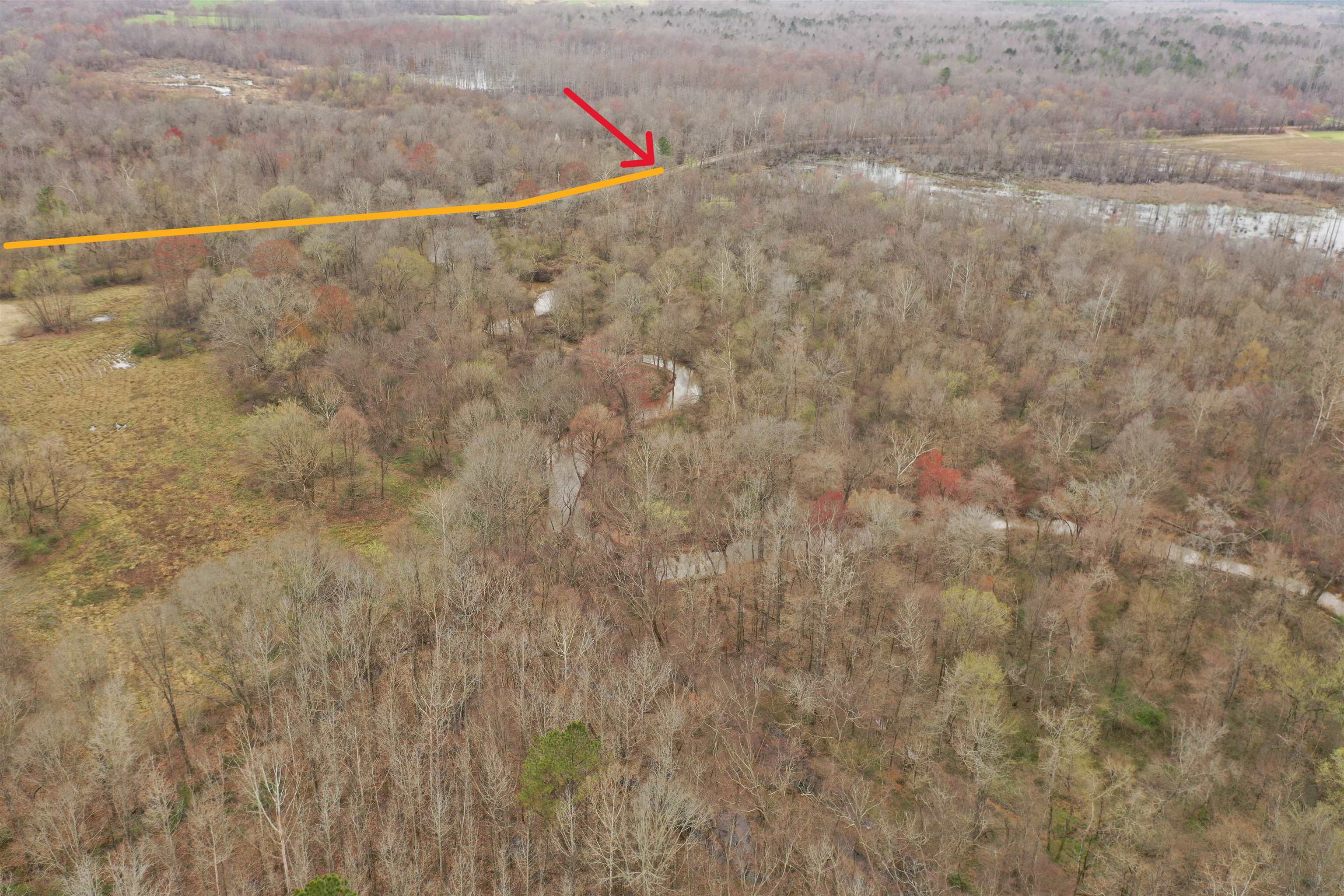 0 Teague Road Medon, TN 38356 - Photo 4 of 21 a view of small space