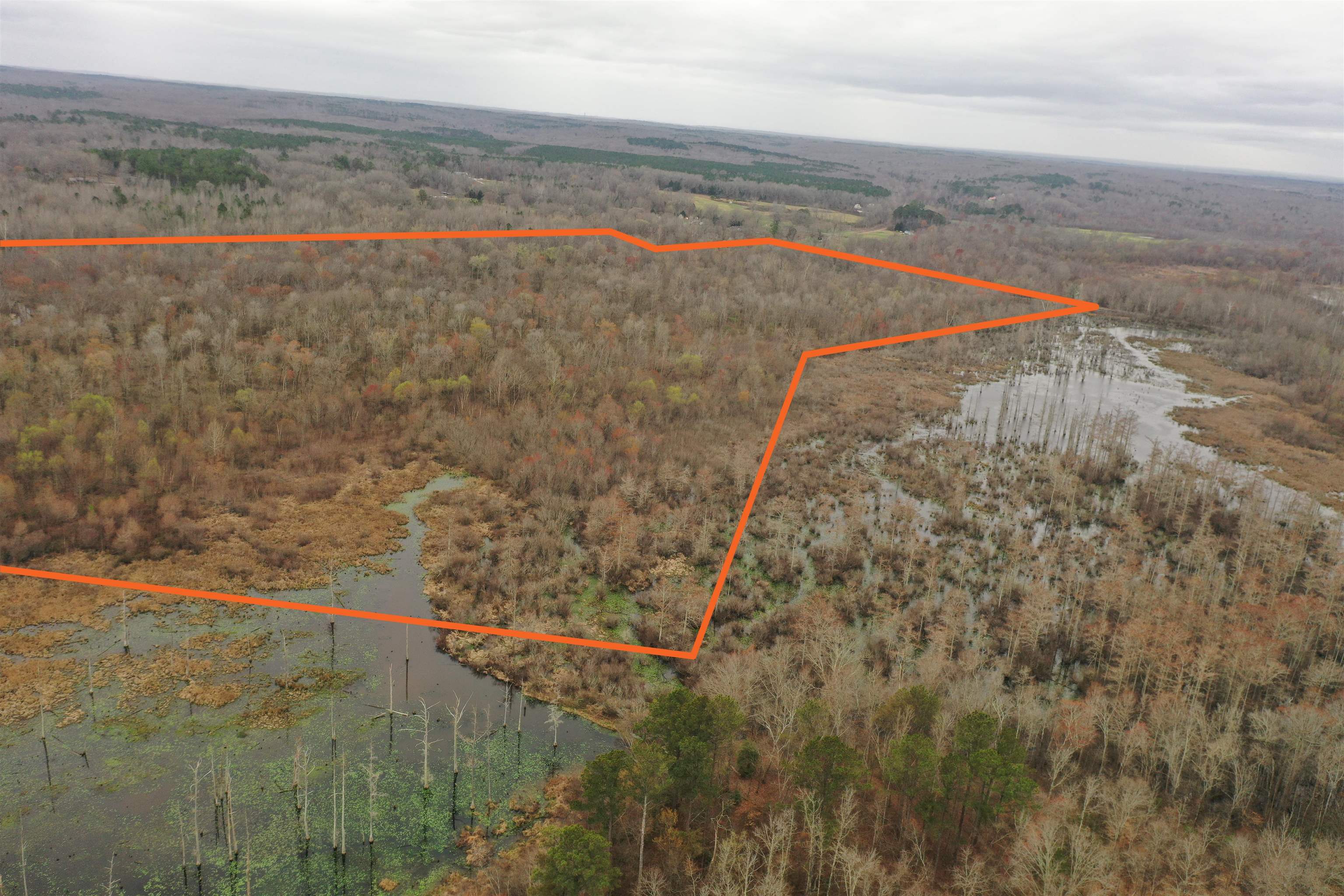 0 Teague Road Medon, TN 38356 - Photo 5 of 21 a view of a field with an outdoor space