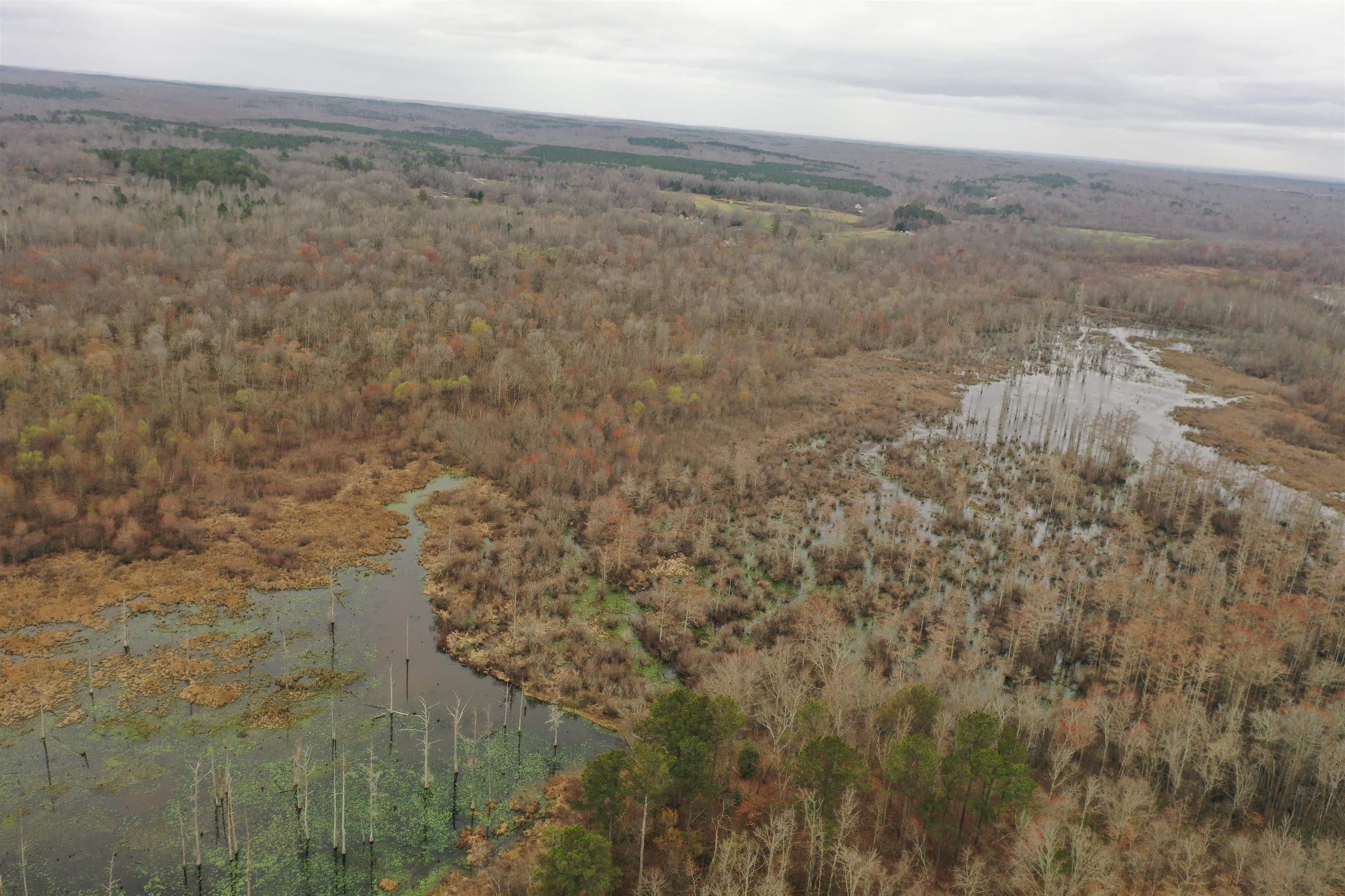 0 Teague Road Medon, TN 38356 - Photo 7 of 21 a view of a field with an outdoor space