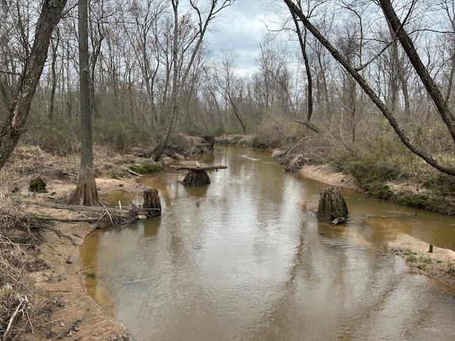 0 Teague Road Medon, TN 38356 - Photo 8 of 21 a view of a lake with trees
