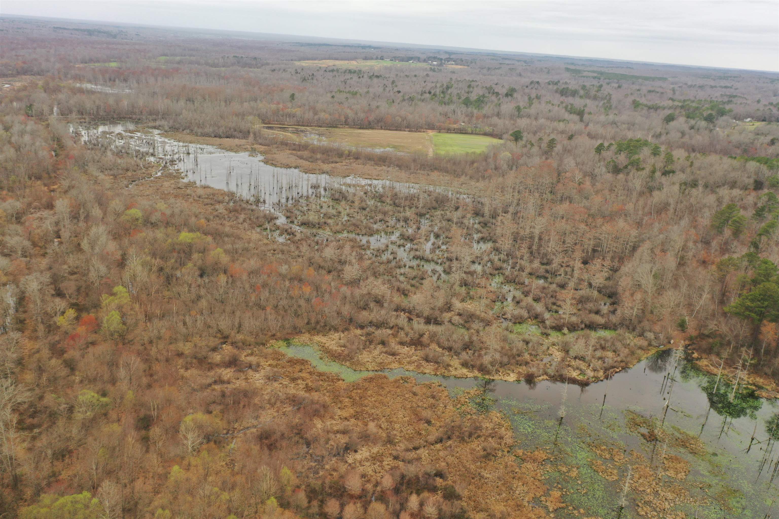 0 Teague Road Medon, TN 38356 - Photo 9 of 21 a view of an ocean beach