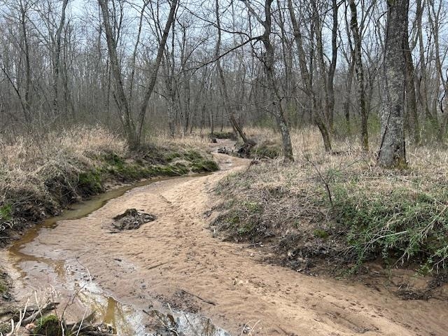 0 Teague Road Medon, TN 38356 - Photo 10 of 21 a view of backyard with green space