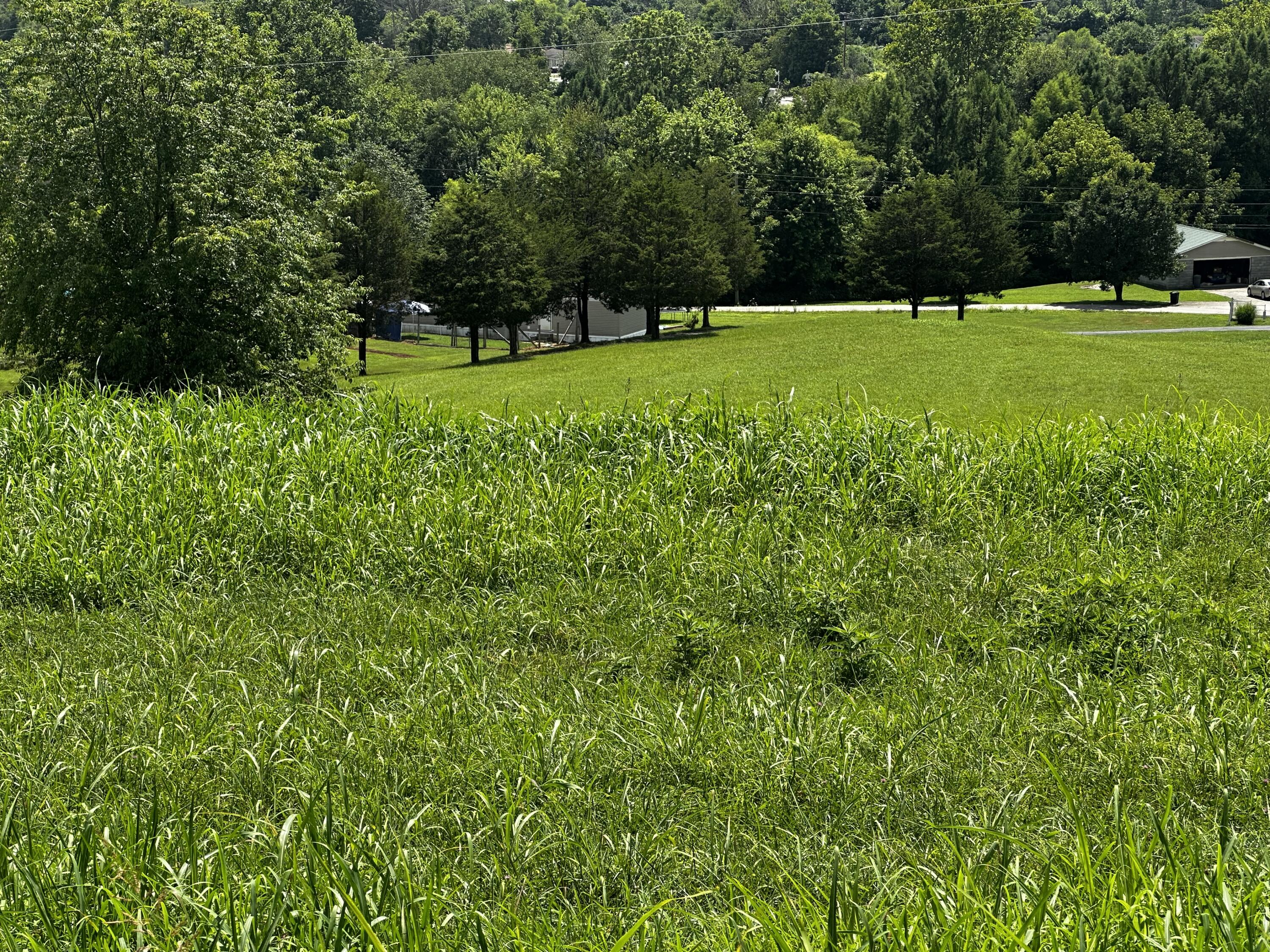 272 Valentine Branch Road Cannon, KY 40923 - Photo 21 of 21 IMG_0999