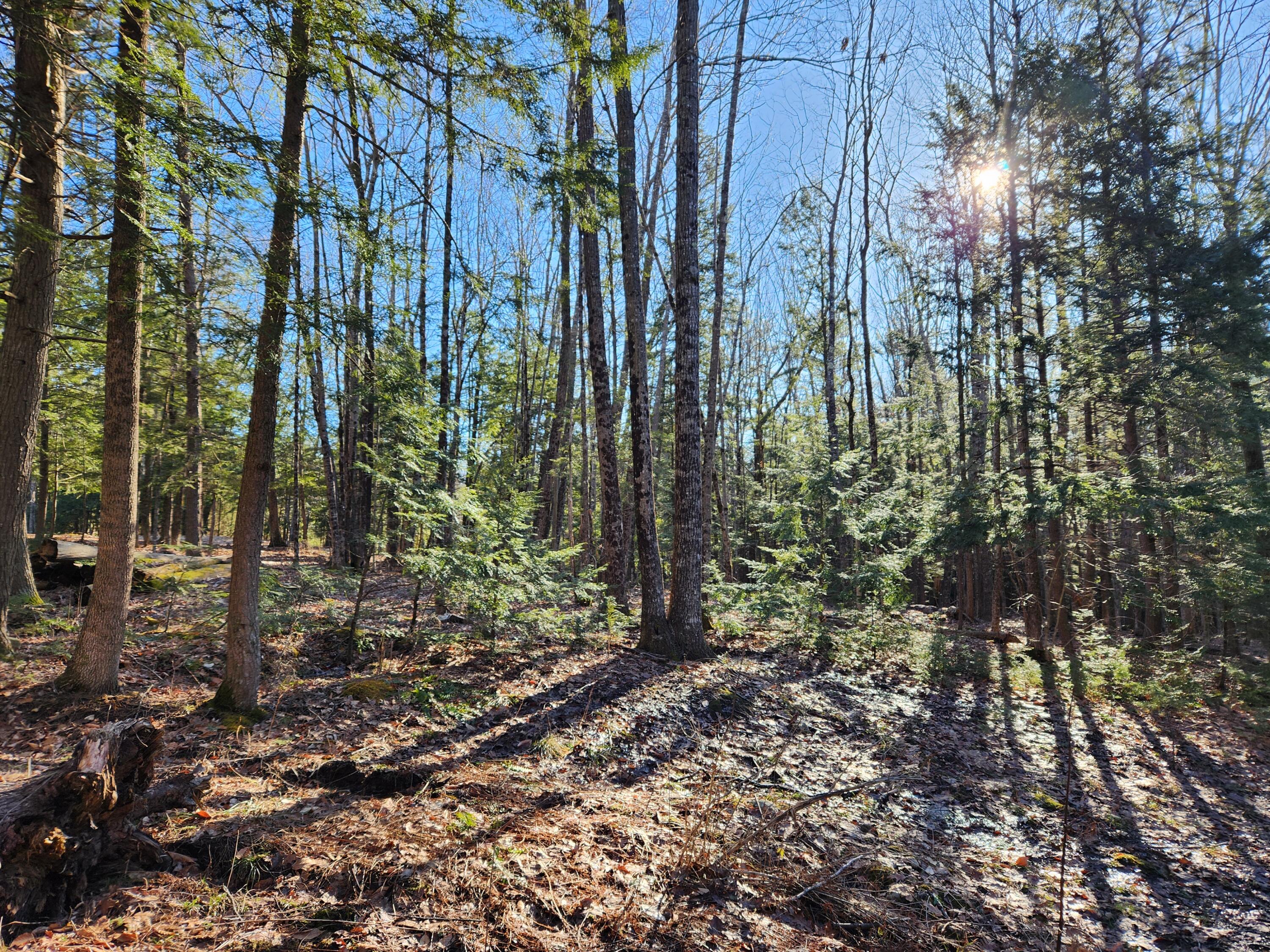 55 A A To Z Road Greene, ME 04236 - Photo 46 of 54 20240308_152239