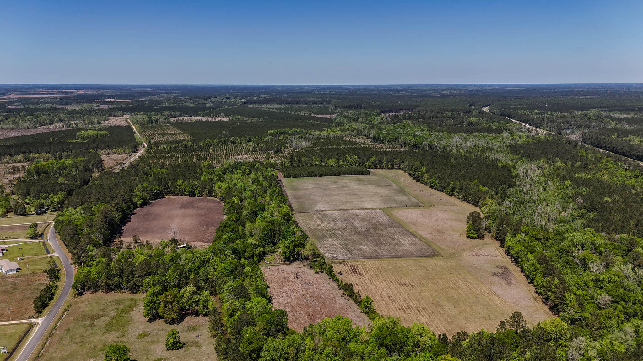 1296 Risher Mountain Road Walterboro, SC 29488 - Photo 3 of 15 Gallery Image 3