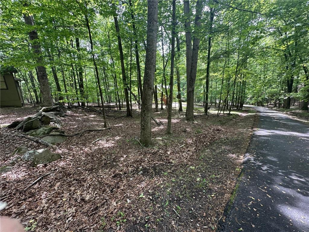 Lt43 Rocky Stream Court Jasper, GA 30143 - Photo 2 of 25 a view of a forest with trees in the background