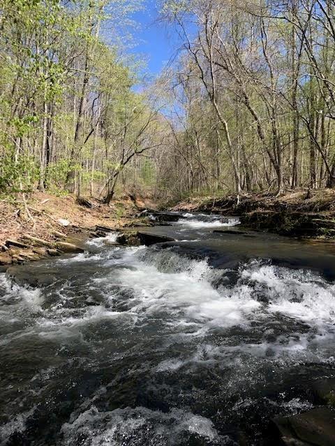 Lt43 Rocky Stream Court Jasper, GA 30143 - Photo 24 of 25 a view of a lake with mountain