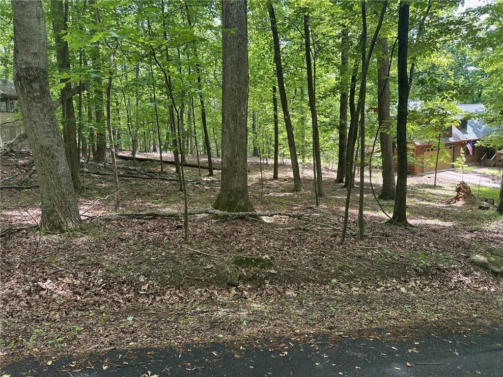 Lt43 Rocky Stream Court Jasper, GA 30143 - Photo 3 of 25 a backyard of a house with lots of green space