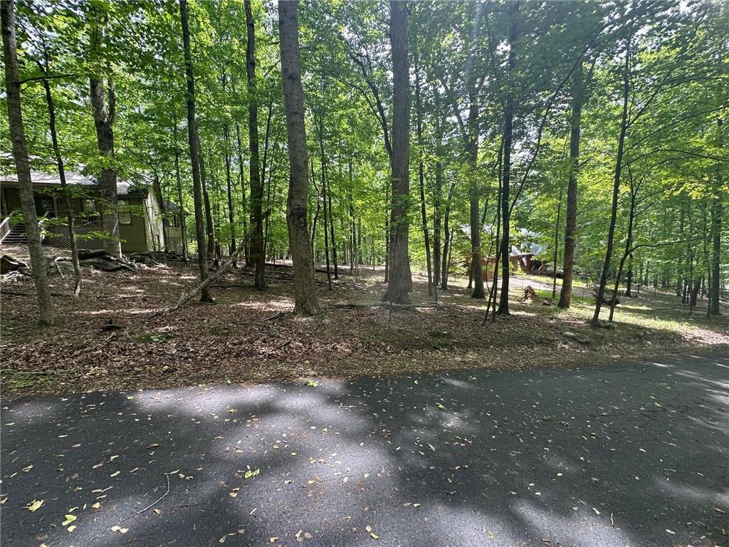Lt43 Rocky Stream Court Jasper, GA 30143 - Photo 4 of 25 a view of a forest with trees in the background