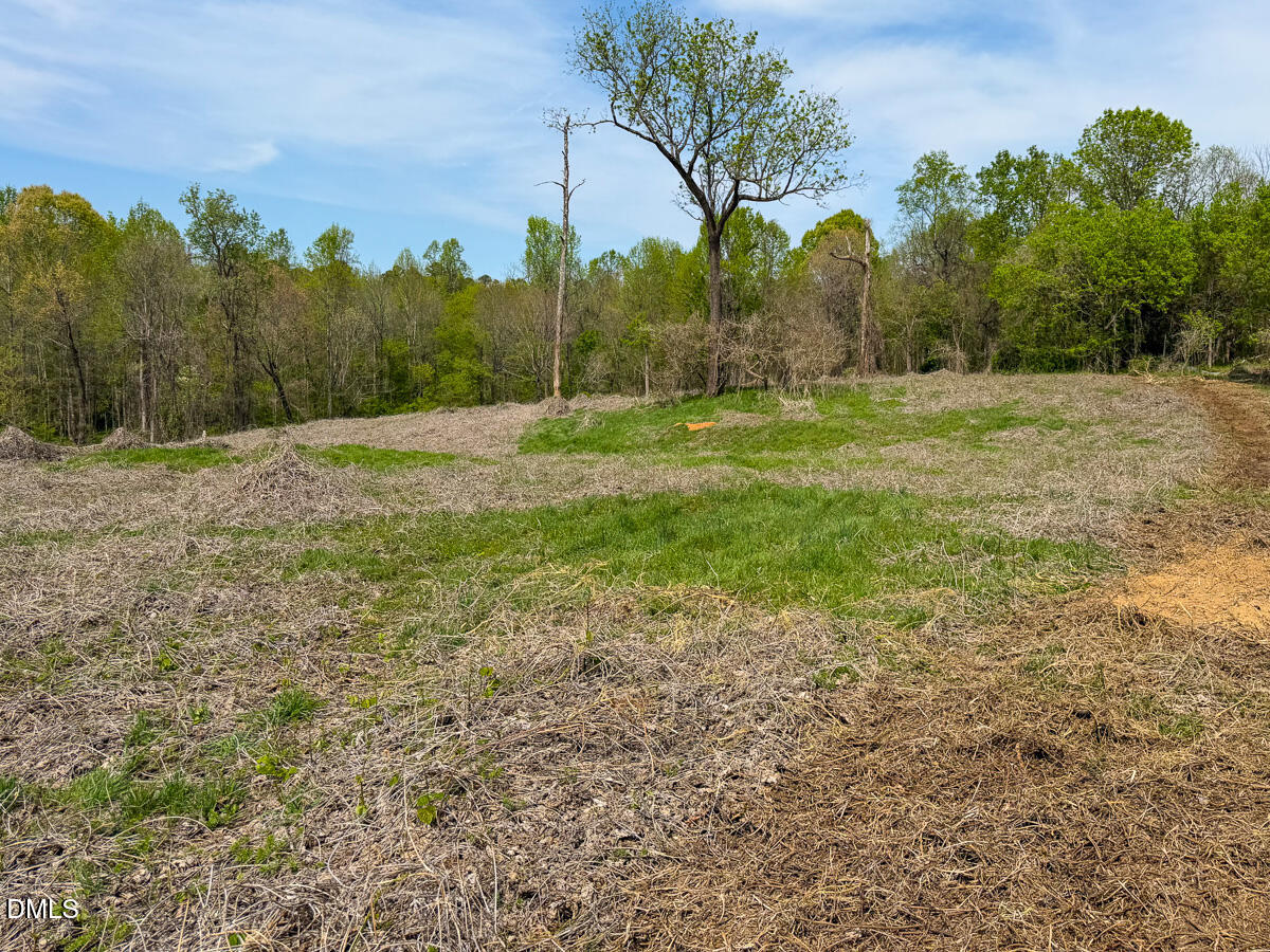 0 Pentecost Road Cedar Grove, NC 27231 - Photo 11 of 45