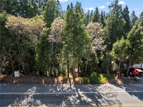 a view of a street with large trees